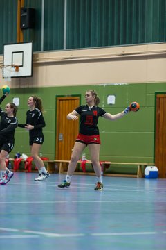 Bild 68 - Frauen HSG Krem/Muensterdorf - HG OKT 3 : Ergebnis: 33:21